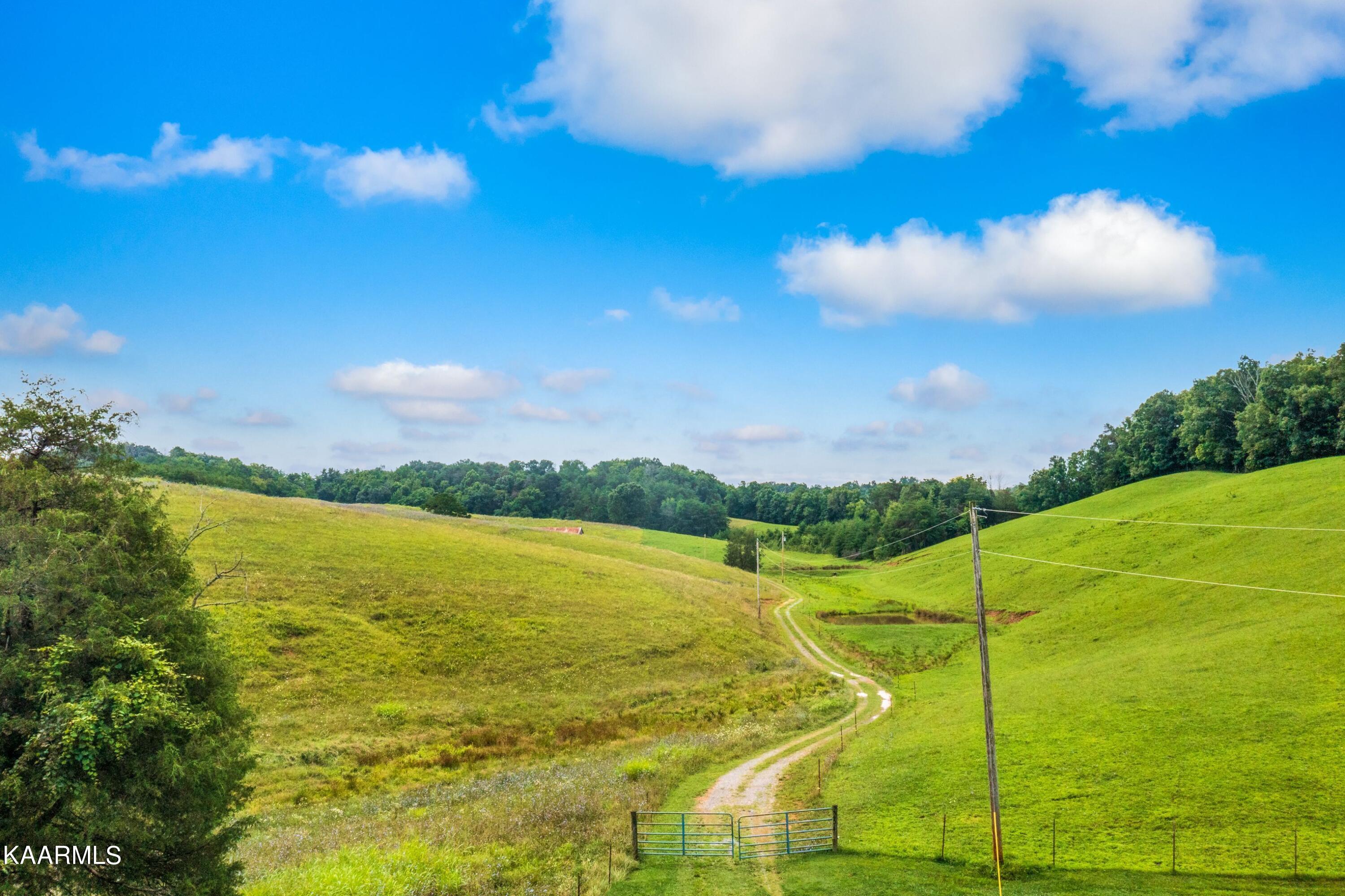 2254 Barger Road Parrottsville, TN 37843 - Photo 4 of 41 55Ll46UM