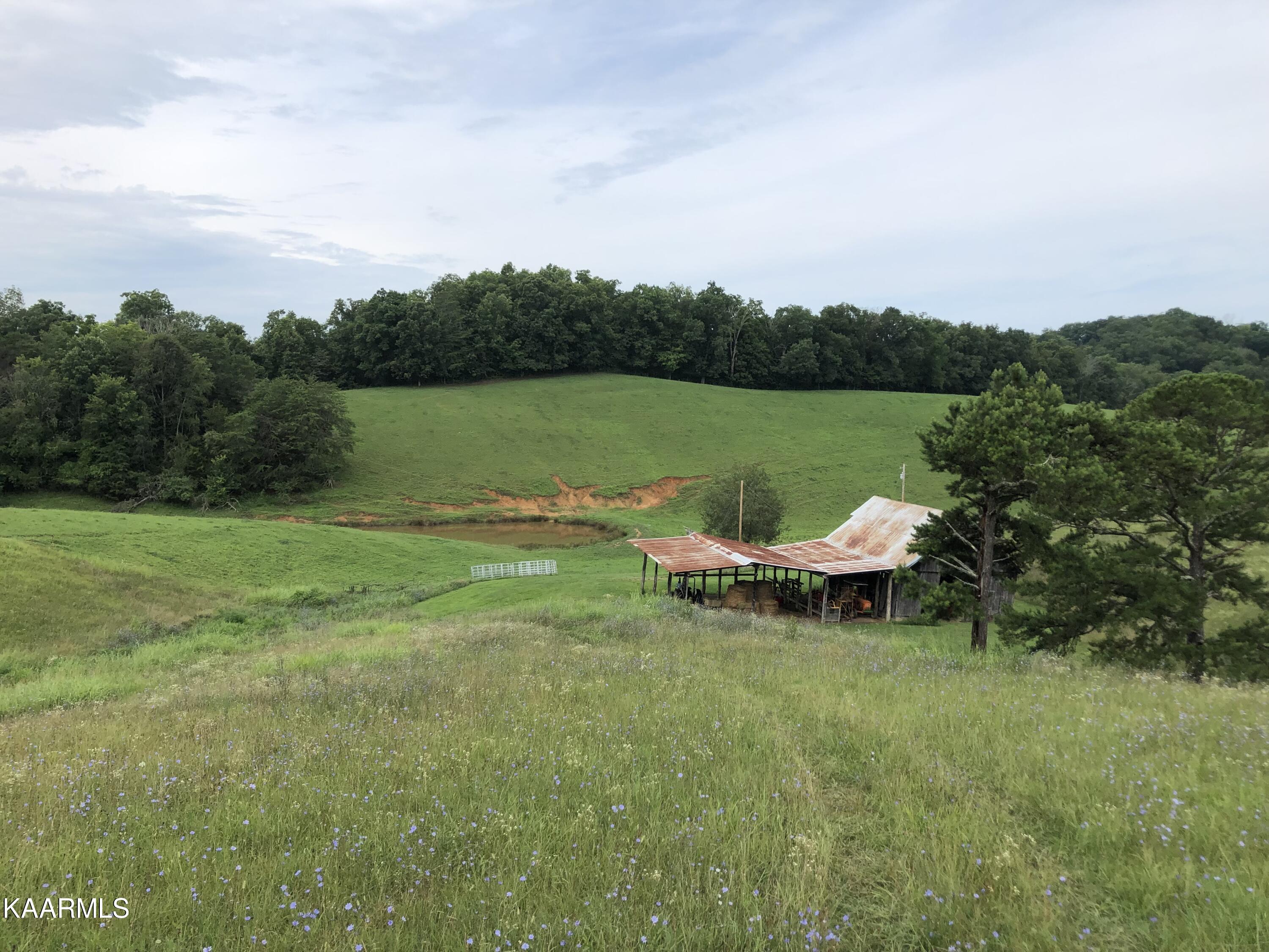 2254 Barger Road Parrottsville, TN 37843 - Photo 33 of 41 IMG_5128