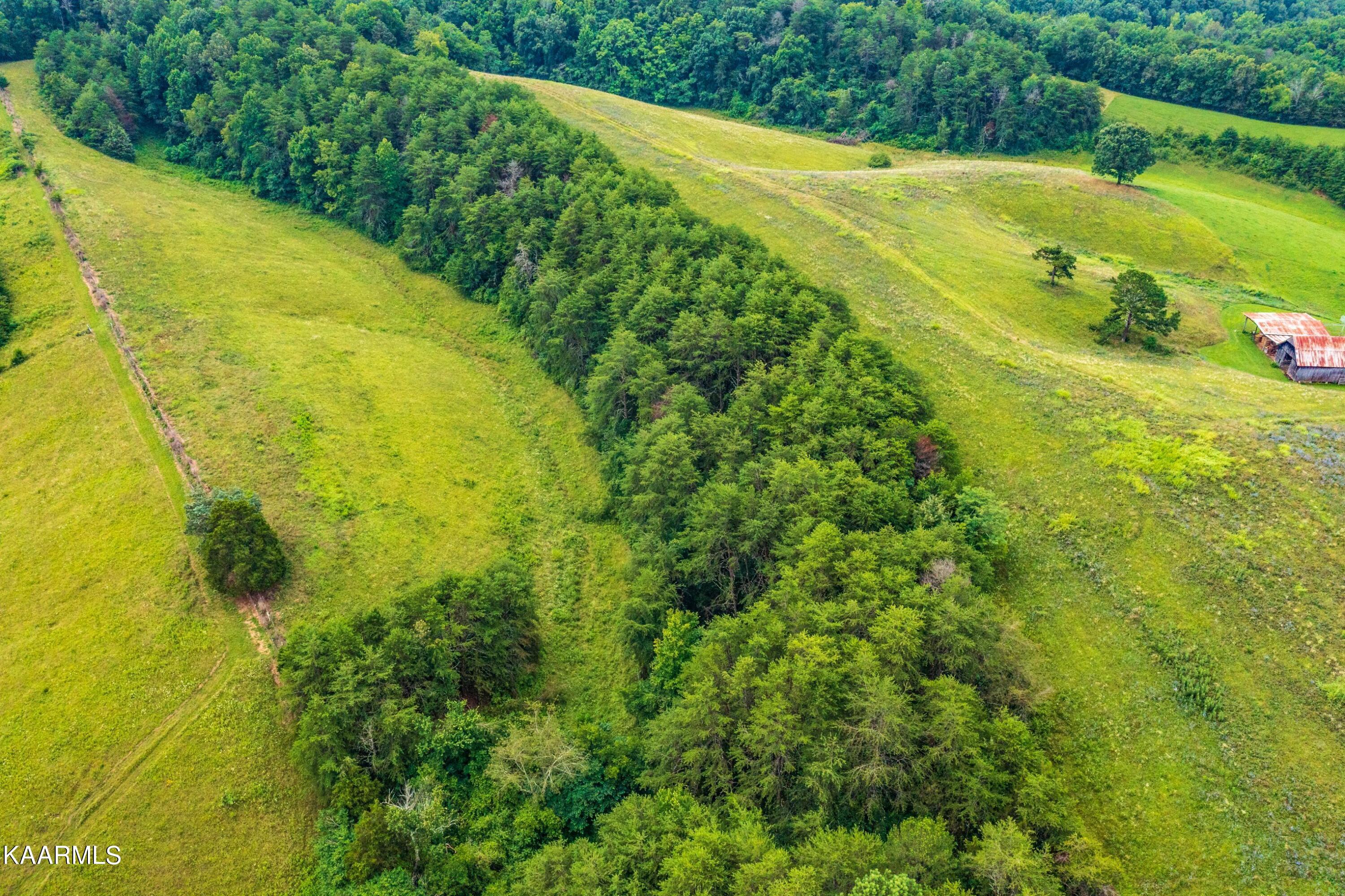 2254 Barger Road Parrottsville, TN 37843 - Photo 34 of 41 kUi_PlGc
