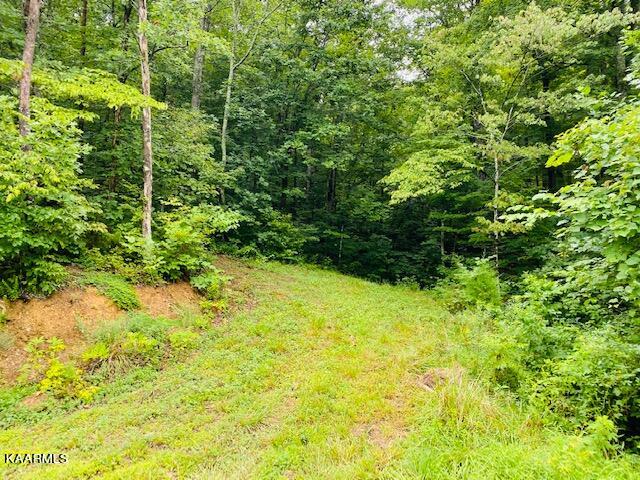 2254 Barger Road Parrottsville, TN 37843 - Photo 5 of 41 IMG_5061