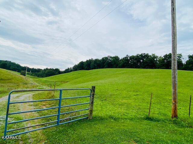 2254 Barger Road Parrottsville, TN 37843 - Photo 6 of 41 IMG_5063