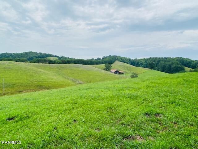2254 Barger Road Parrottsville, TN 37843 - Photo 7 of 41 IMG_5064