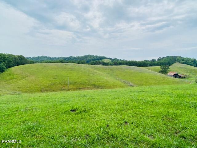 2254 Barger Road Parrottsville, TN 37843 - Photo 8 of 41 IMG_5065