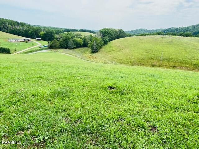 2254 Barger Road Parrottsville, TN 37843 - Photo 9 of 41 IMG_5066