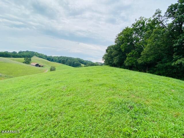 2254 Barger Road Parrottsville, TN 37843 - Photo 10 of 41 IMG_5067