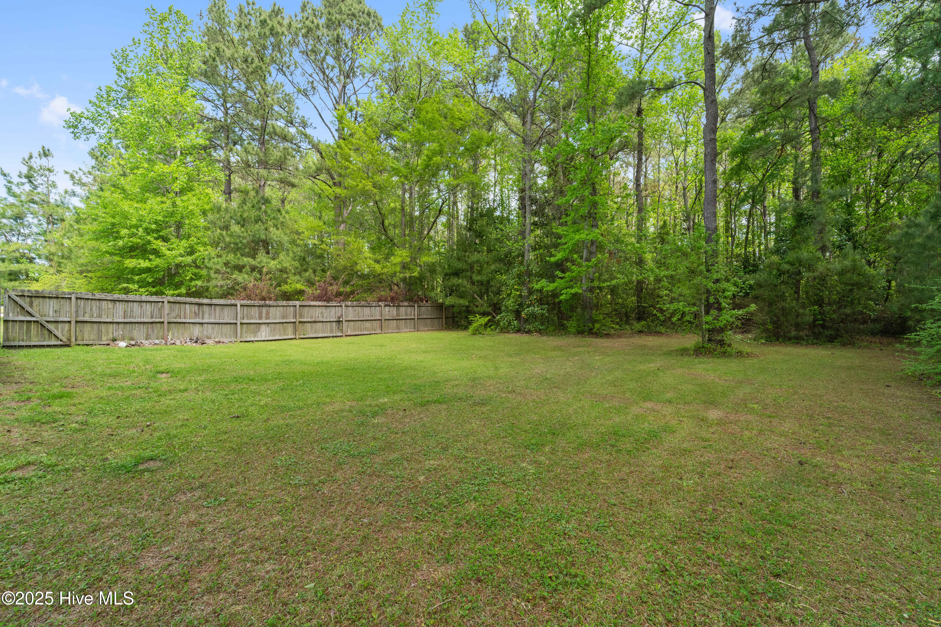 162 East Ridge Court Jacksonville, NC 28540 - Photo 45 of 54 DSC03216