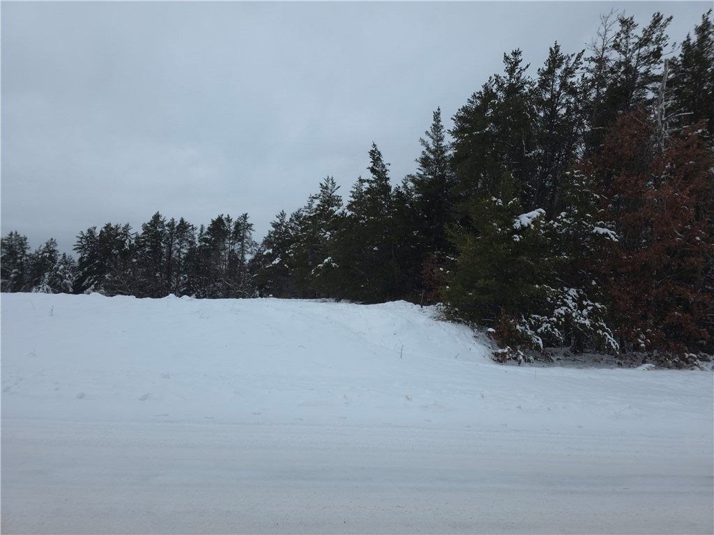 0 Liesch Road Trego, WI 54888 - Photo 7 of 27