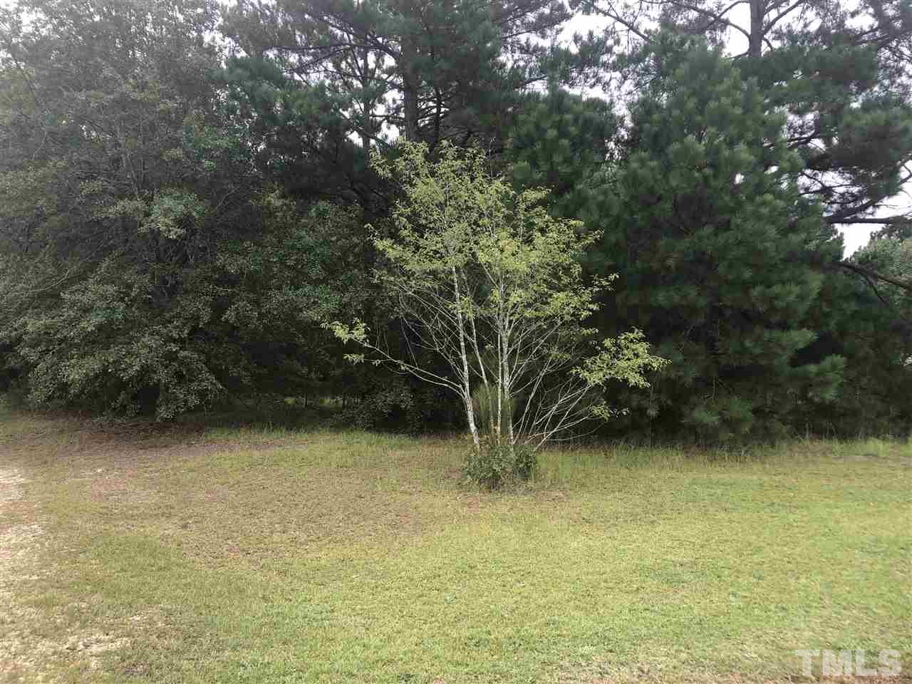 66 Chic Ennis Road Coats, NC 27521 - Photo 1 of 1 a view of outdoor space and yard