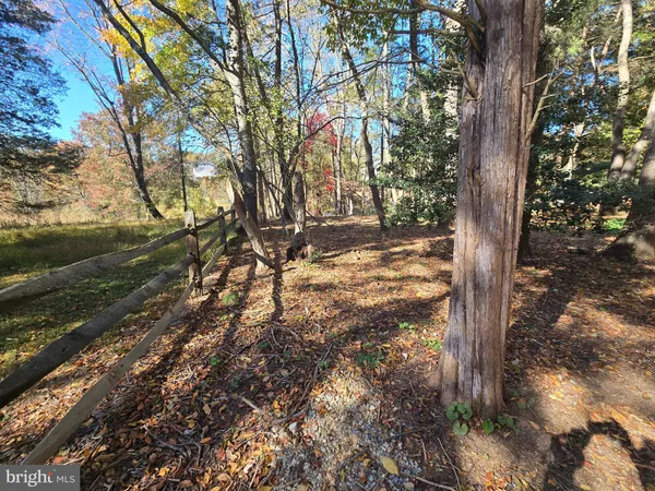 a view of a tree with a yard