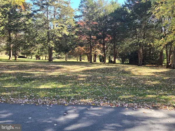 a big yard with trees