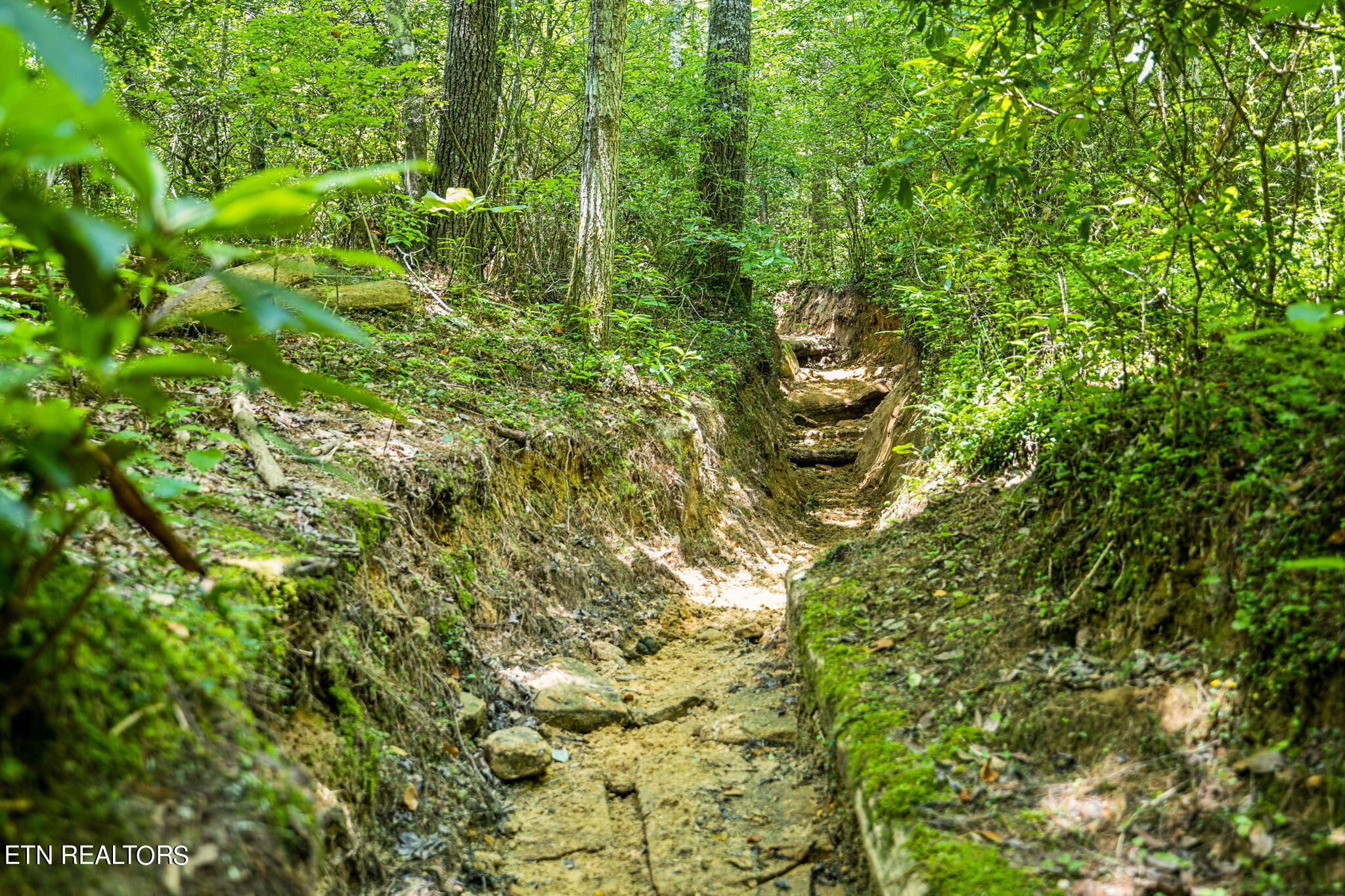 400 Double Arch Retreat Road Allardt, TN 38504 - Photo 11 of 18 Trails