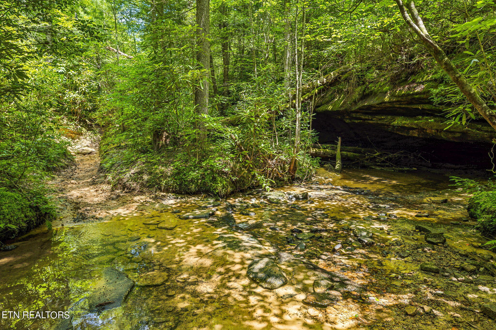 400 Double Arch Retreat Road Allardt, TN 38504 - Photo 14 of 18 Potter Branch