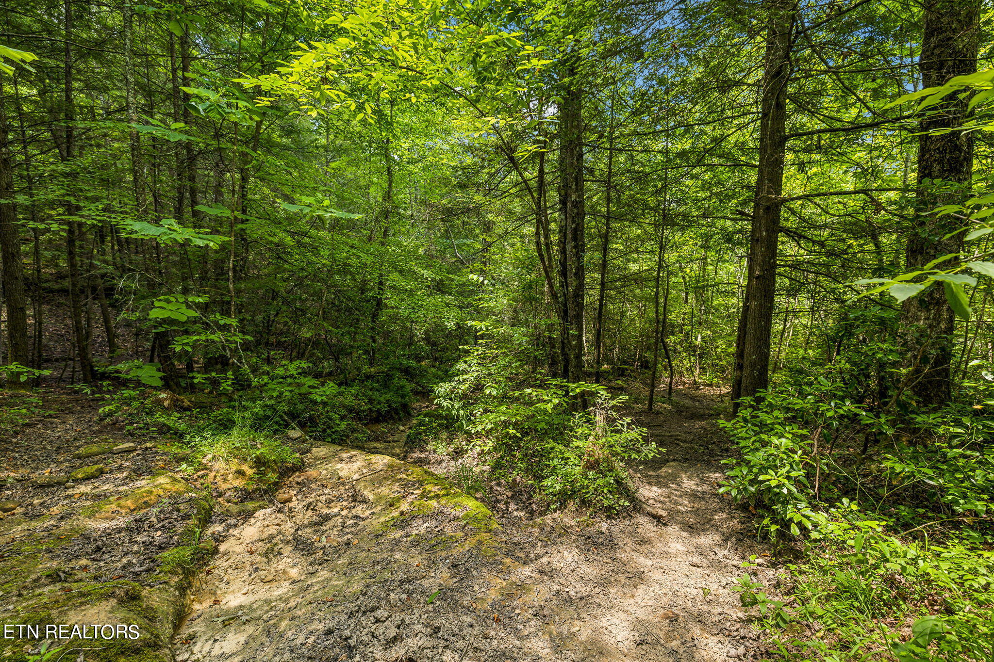400 Double Arch Retreat Road Allardt, TN 38504 - Photo 16 of 18 Potter Branch