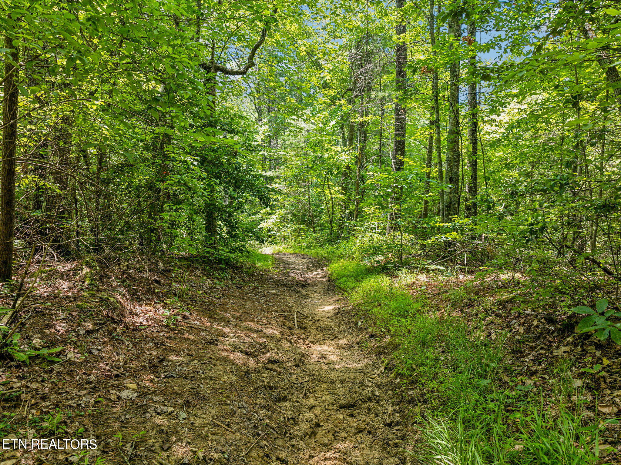 400 Double Arch Retreat Road Allardt, TN 38504 - Photo 17 of 18 Trails