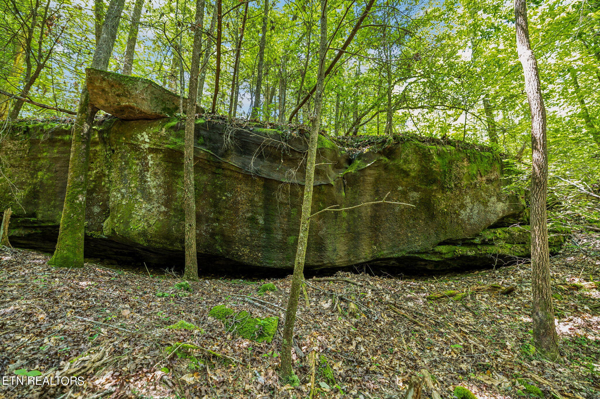 400 Double Arch Retreat Road Allardt, TN 38504 - Photo 4 of 18 Rock Formations