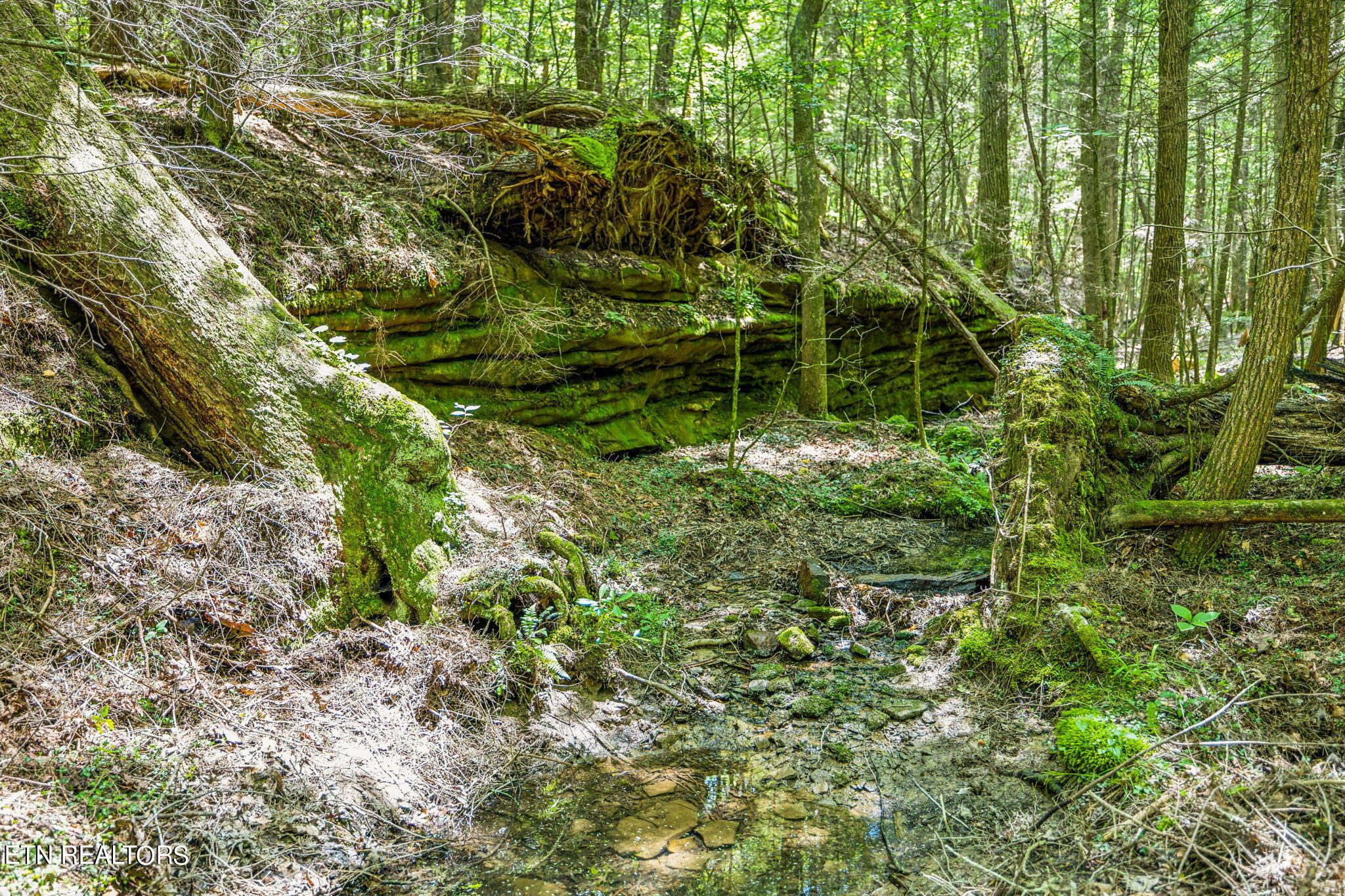 400 Double Arch Retreat Road Allardt, TN 38504 - Photo 5 of 18 Rock Formations