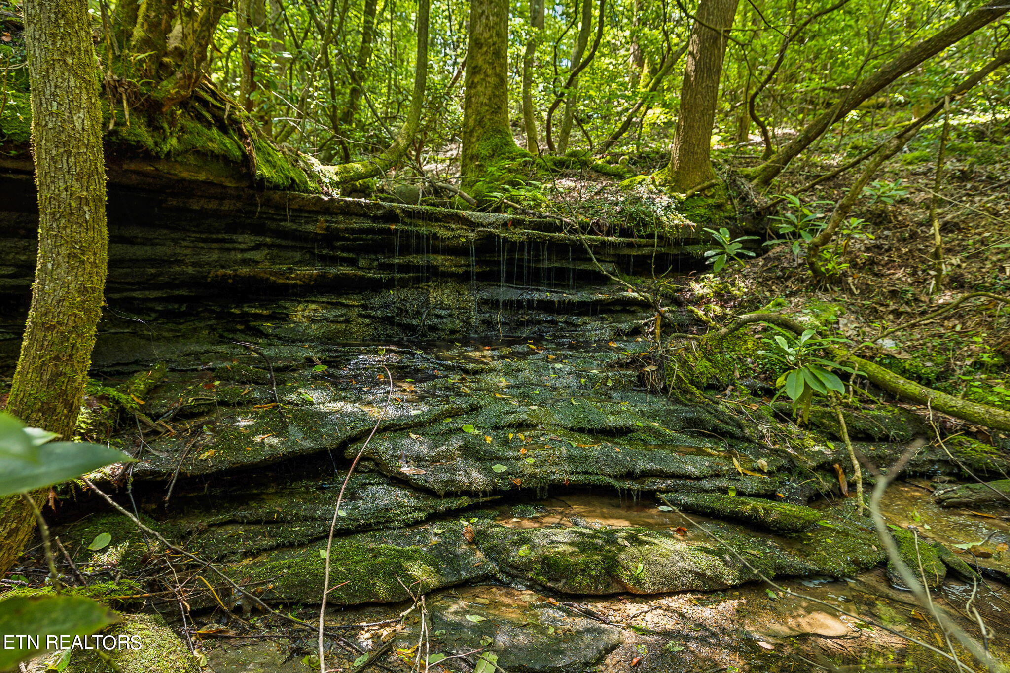 400 Double Arch Retreat Road Allardt, TN 38504 - Photo 7 of 18 Rock Formations