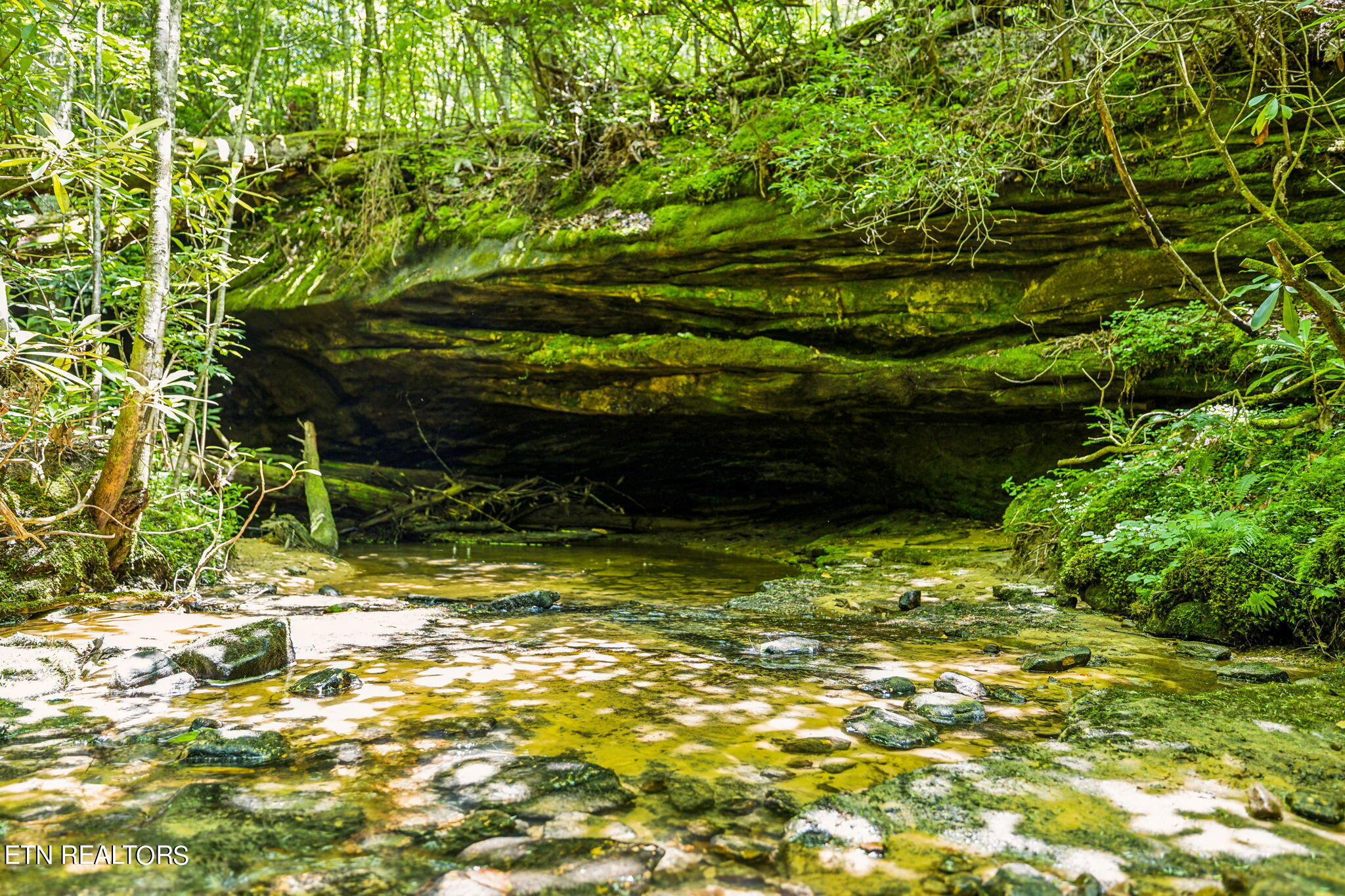 400 Double Arch Retreat Road Allardt, TN 38504 - Photo 9 of 18 Cave w/potter branch