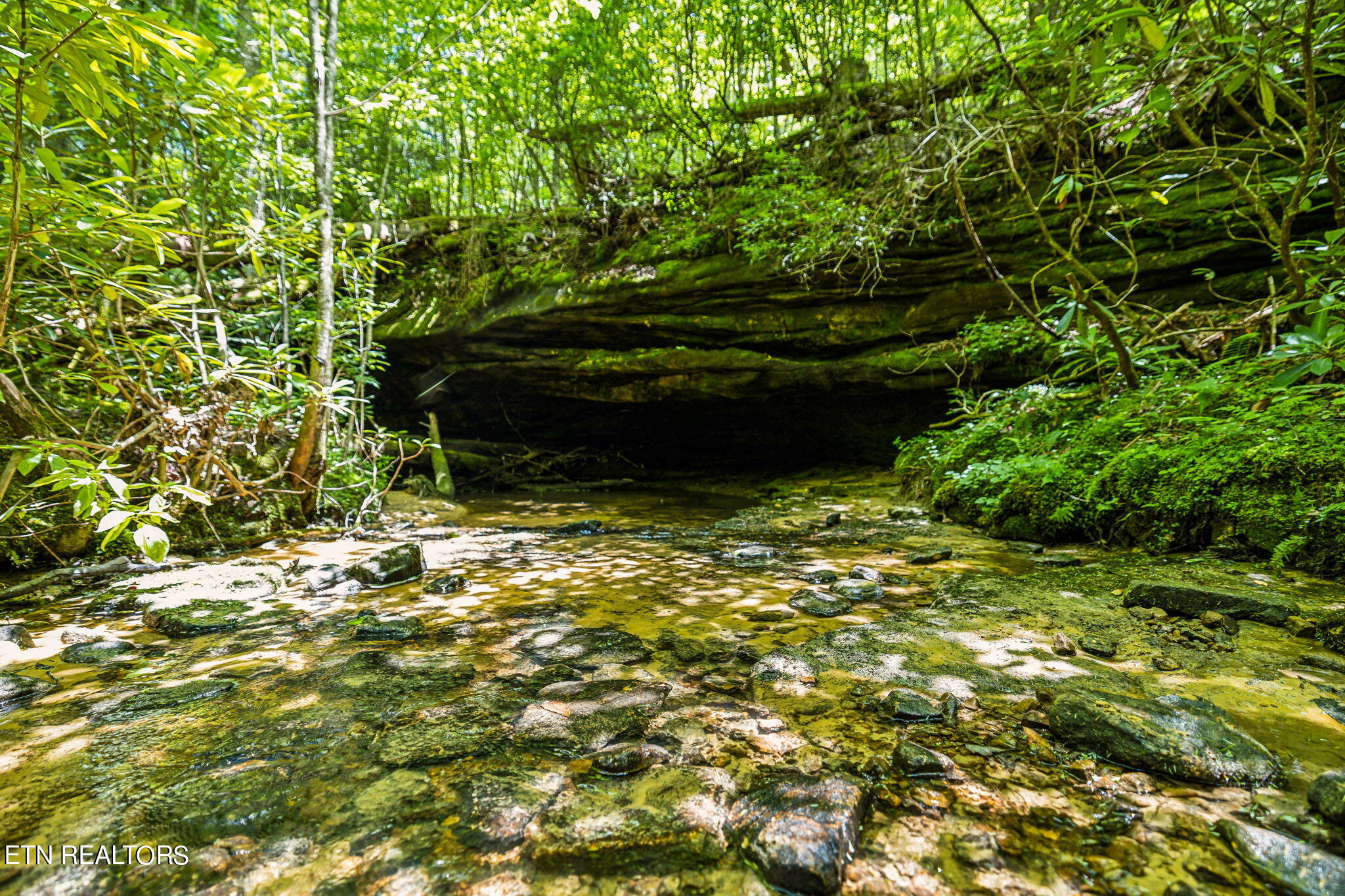 400 Double Arch Retreat Road Allardt, TN 38504 - Photo 10 of 18 Cave w/potter branch