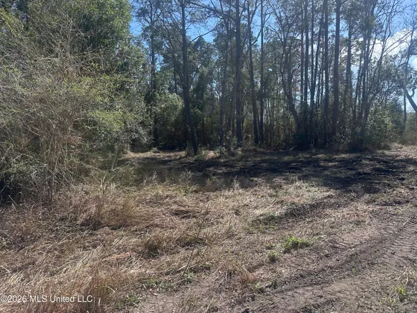 $50,000 | Orange Grove Road, Moss Point, MS 39562