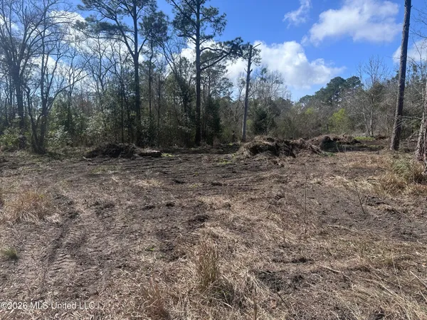 $50,000 | Orange Grove Road, Moss Point, MS 39562