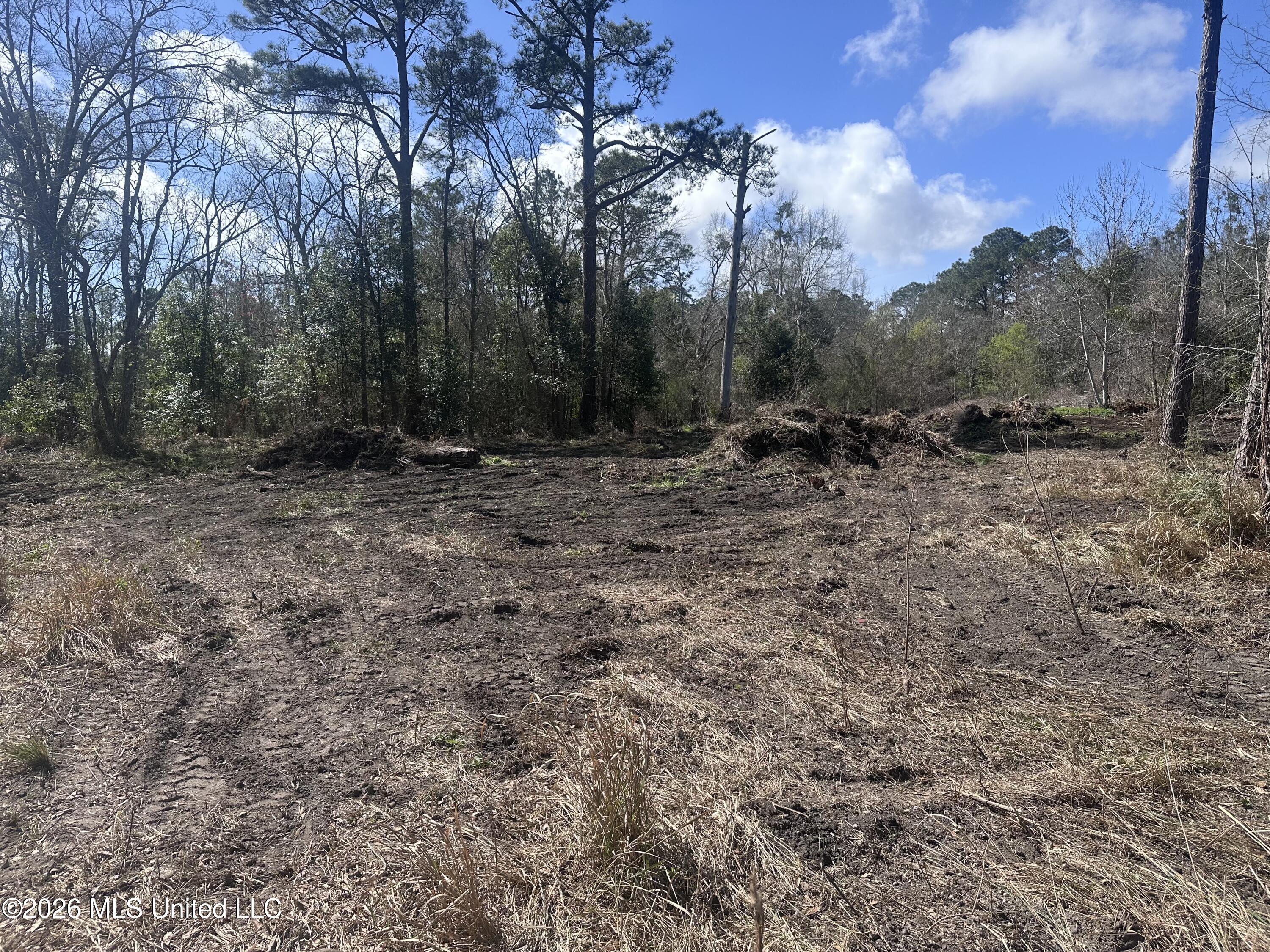 Orange Grove Road Moss Point, MS 39562 - Photo 4 of 7 IMG_6467