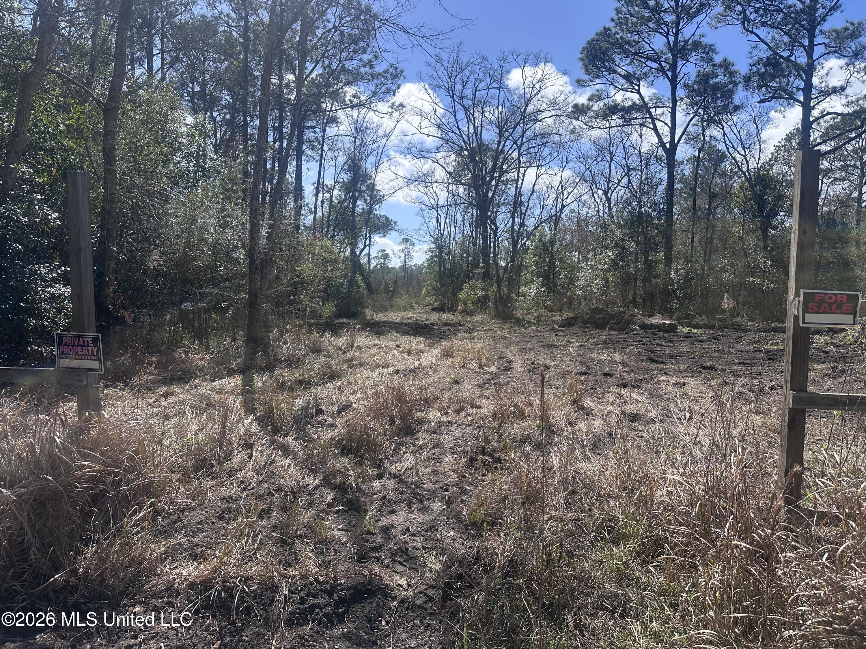 Orange Grove Road Moss Point, MS 39562 - Photo 5 of 7 IMG_6464