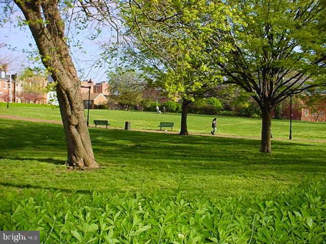 522 St Mary Street Baltimore, MD 21201 - Photo 19 of 25 St. Mary's Park directly across the street