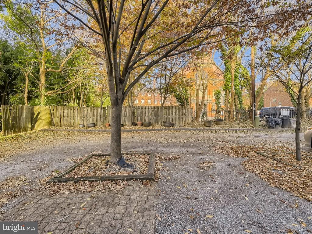 522 St Mary Street Baltimore, MD 21201 - Photo 21 of 25