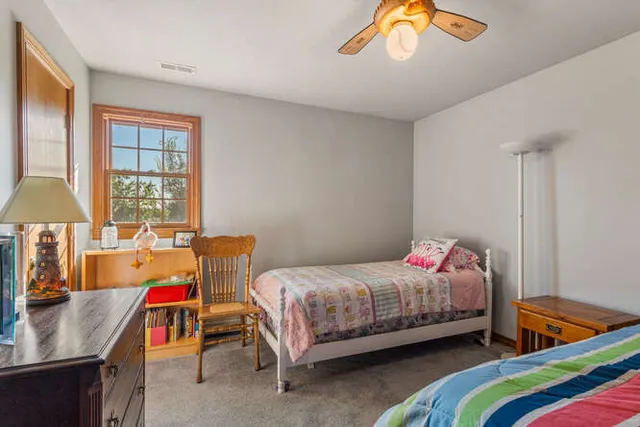 $625,000 | 1174 County Road 2500 East, Homer, IL 61849