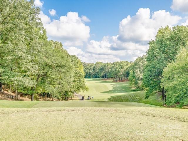 811 Ledgestone Court Tega Cay, SC 29708 - Photo 47 of 48