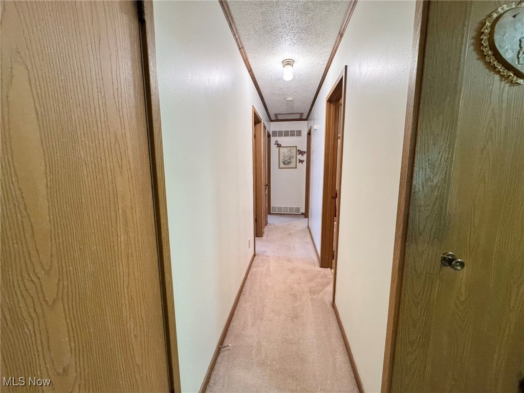 4514 Russet Road Grantsville, WV 26147 - Photo 26 of 44