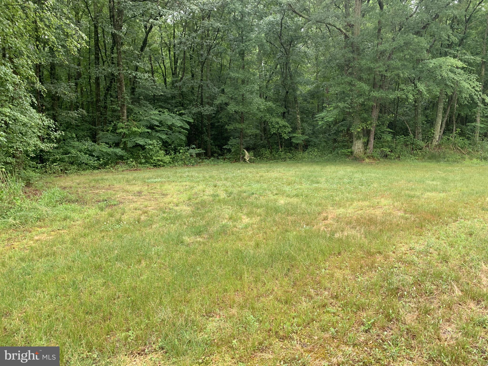 Lentz Road Goldsboro, MD 21636 - Photo 7 of 14 Gallery Image 7