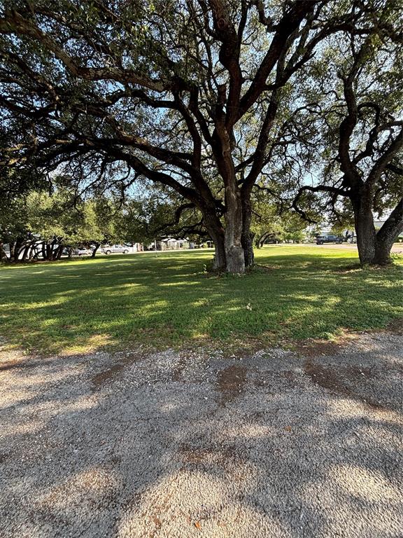 206 Holiday Rambler Drive Whitney, TX 76692 - Photo 7 of 28 Mature trees provide shade for a grass lawn
