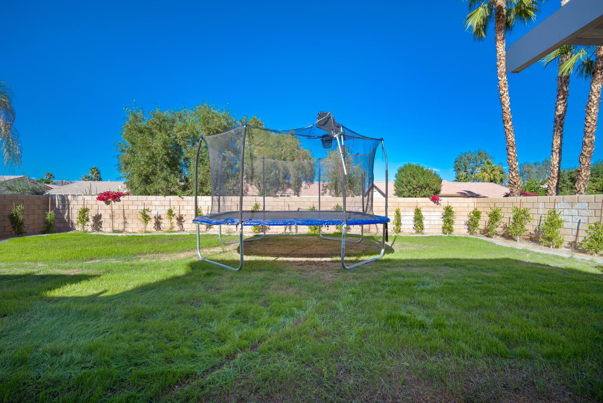 79350 Paseo Del Rey La Quinta, CA 92253 - Photo 33 of 41 a view of park