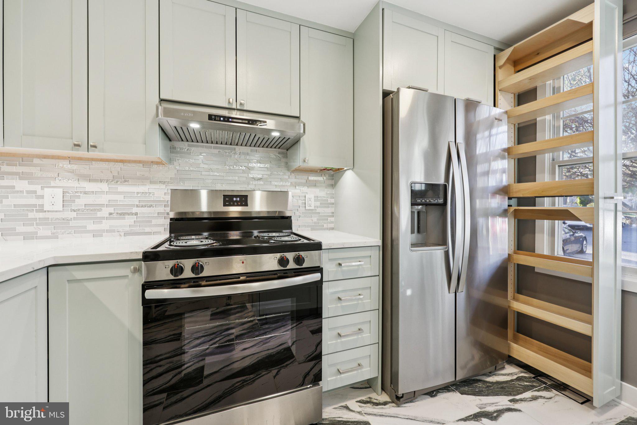 1666 Harvest Green Court Reston, VA 20194 - Photo 4 of 46 Slide Out Pantry and pull out storage