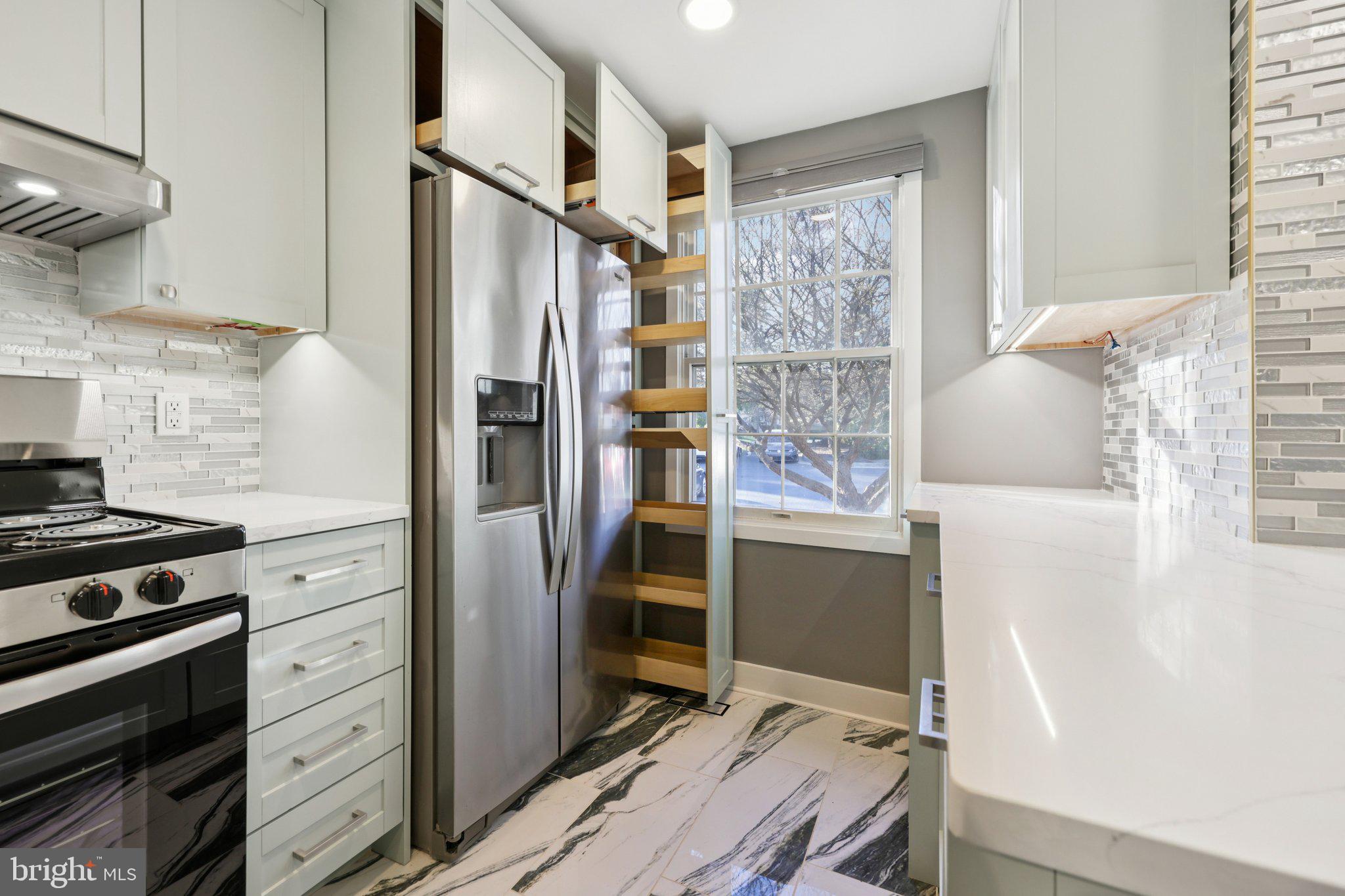1666 Harvest Green Court Reston, VA 20194 - Photo 5 of 46 Toe kick storage under the sink and cabinets