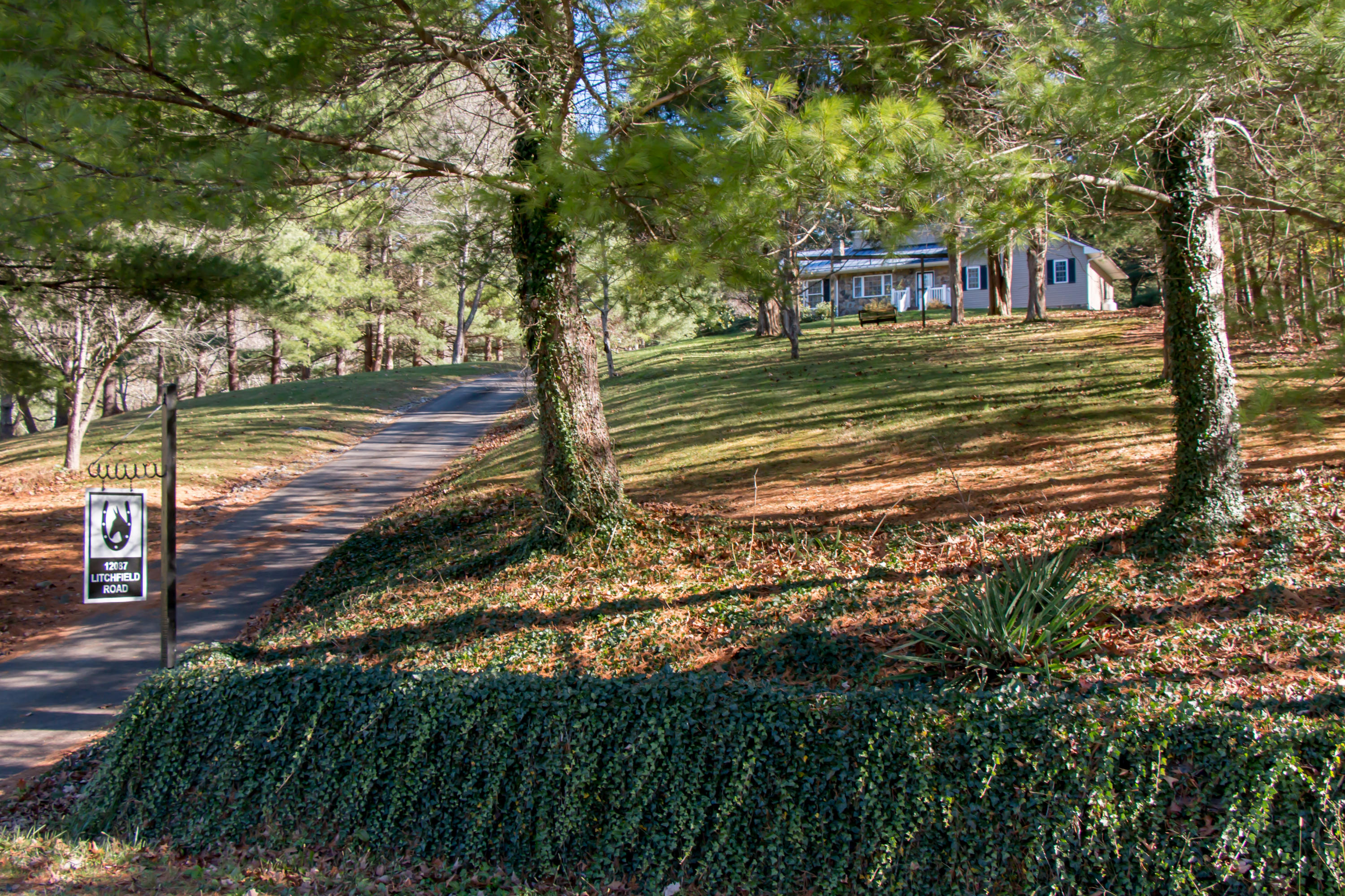 12087 Litchfield