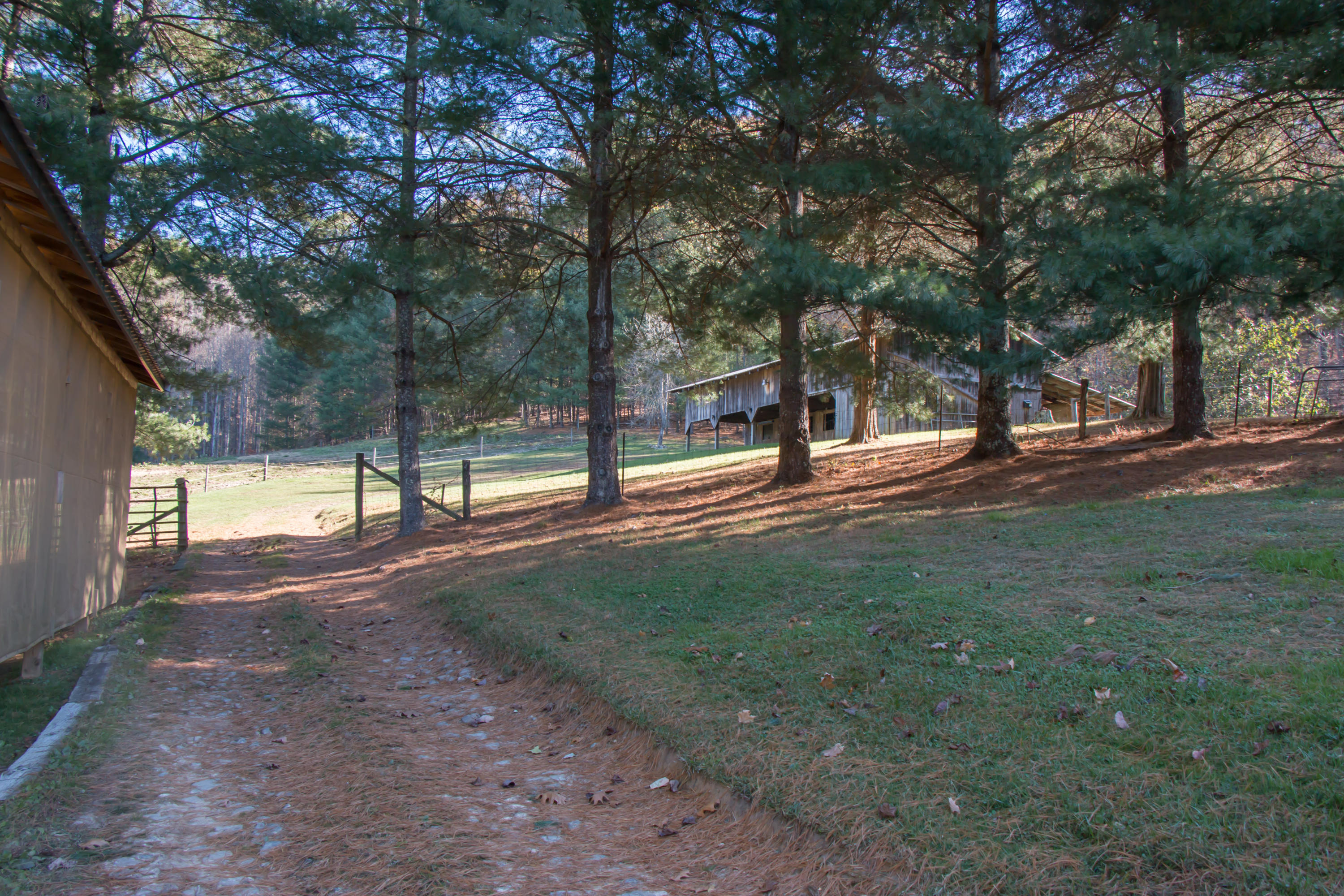 12087 Litchfield Road Abingdon, VA 24210 - Photo 39 of 61 12087 Litchfield