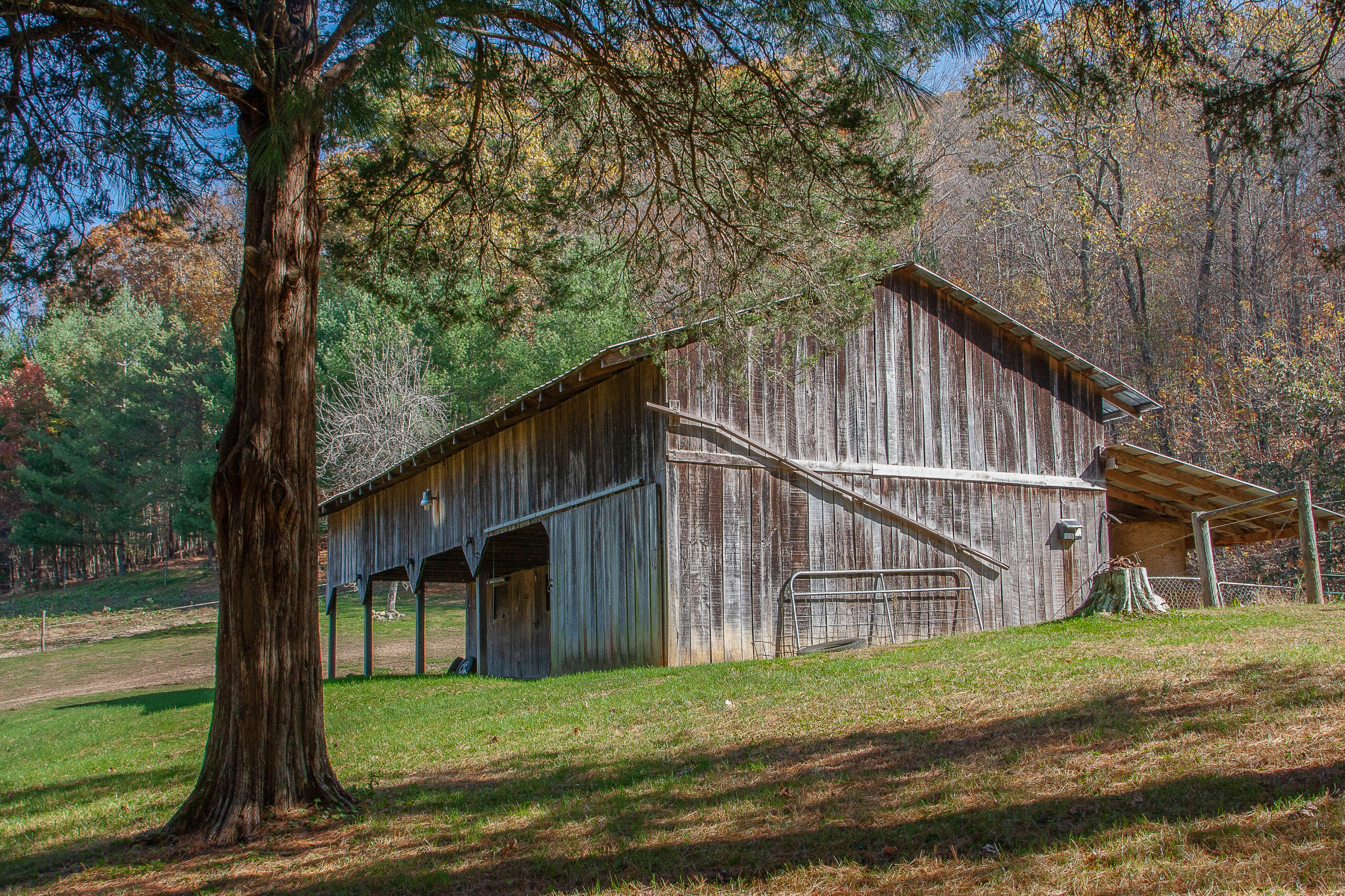 12087 Litchfield Road Abingdon, VA 24210 - Photo 45 of 61 12087 Litchfield