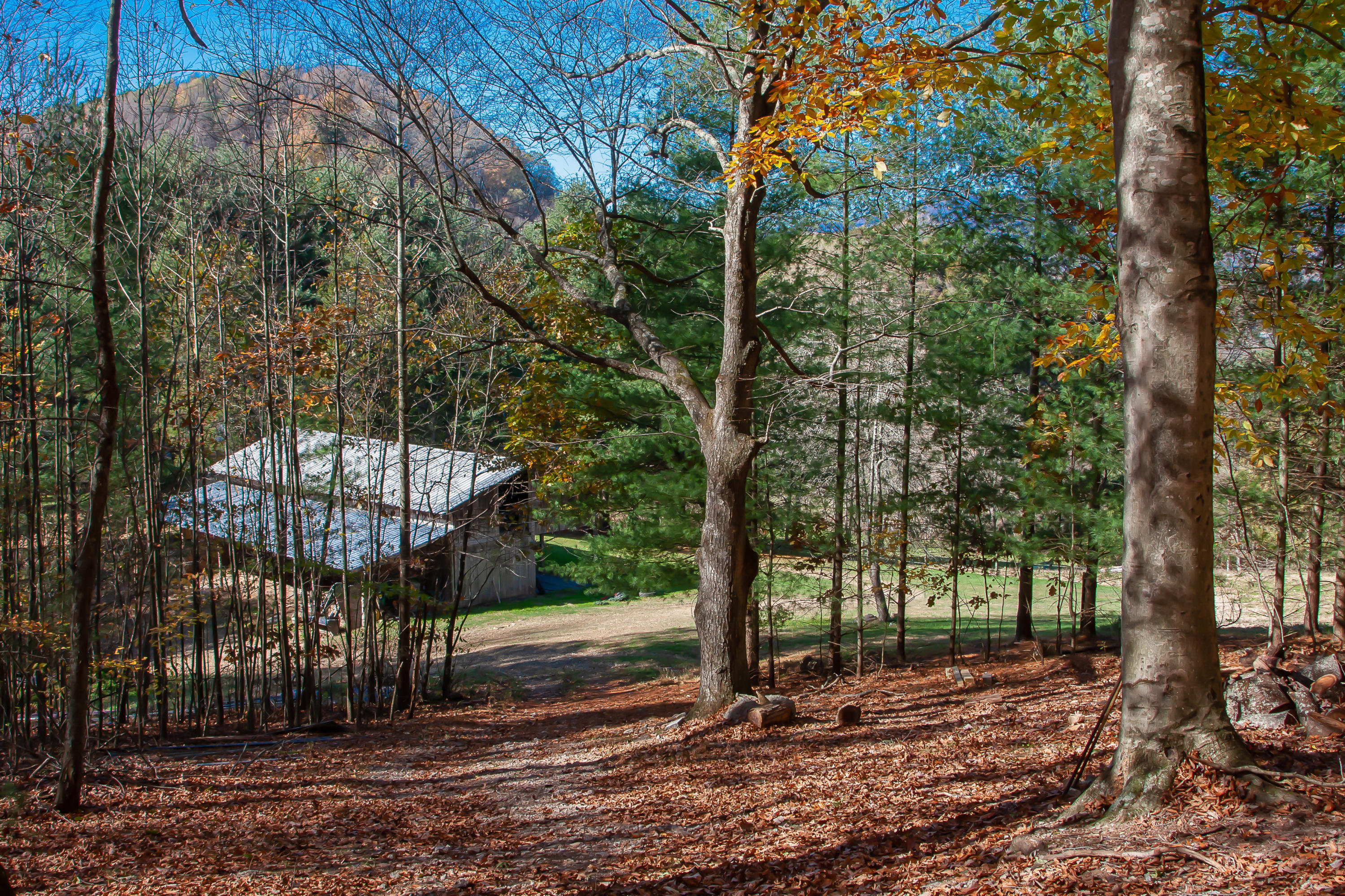 12087 Litchfield Road Abingdon, VA 24210 - Photo 53 of 61 12087 Litchfield