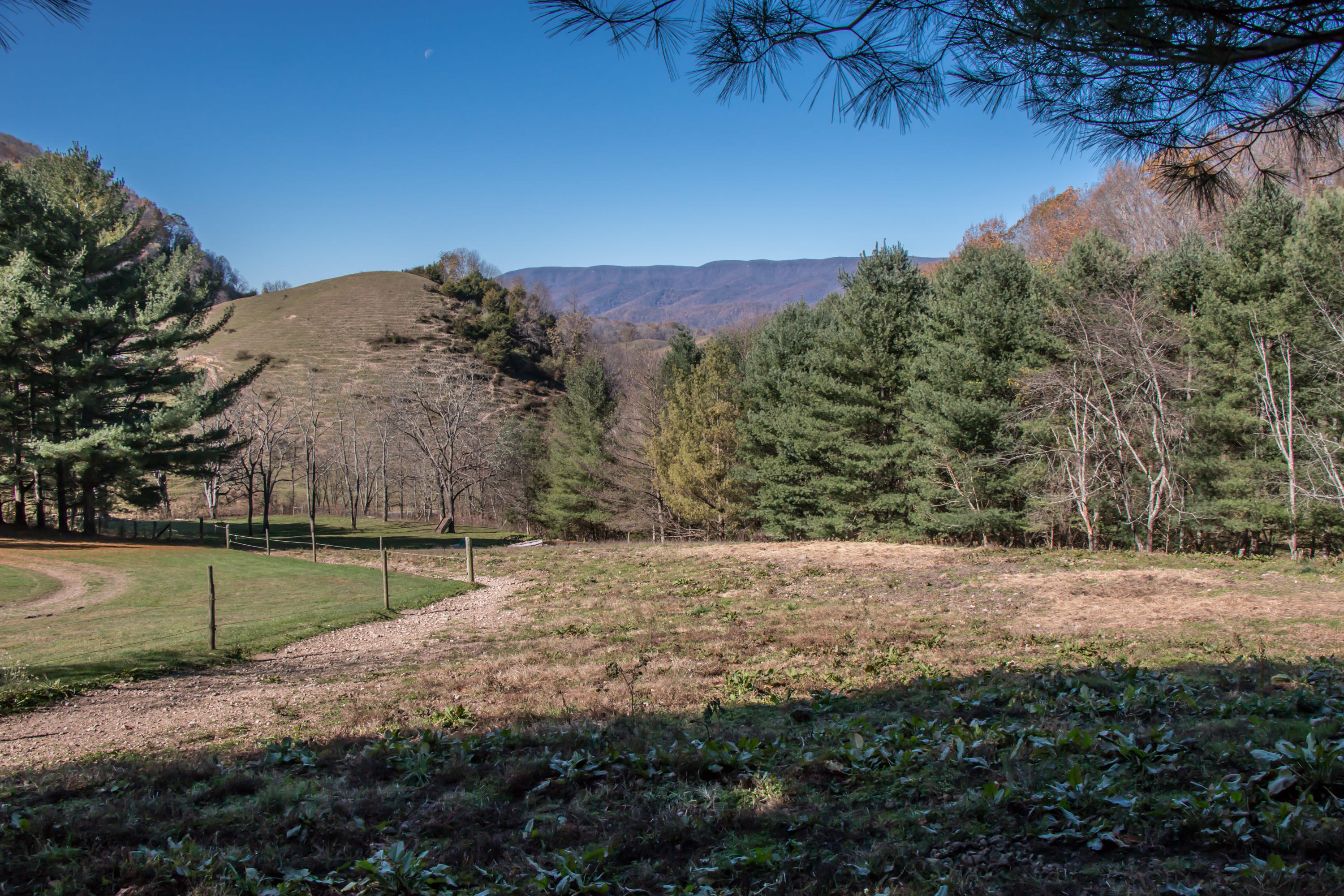 12087 Litchfield Road Abingdon, VA 24210 - Photo 56 of 61 12087 Litchfield