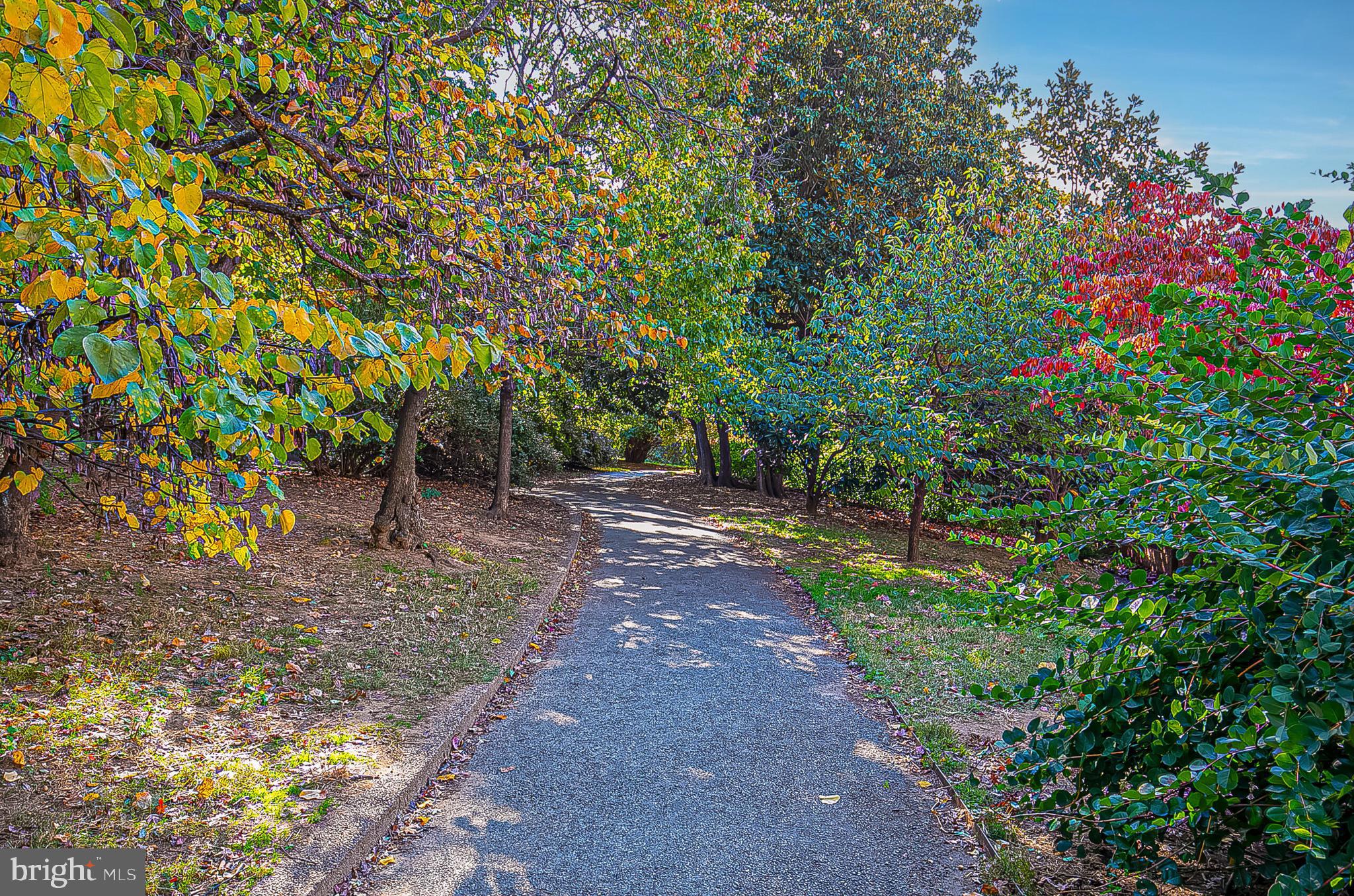 1660 Kalorama Road Northwest Washington, DC 20009 - Photo 22 of 37 Meridian Hill Park