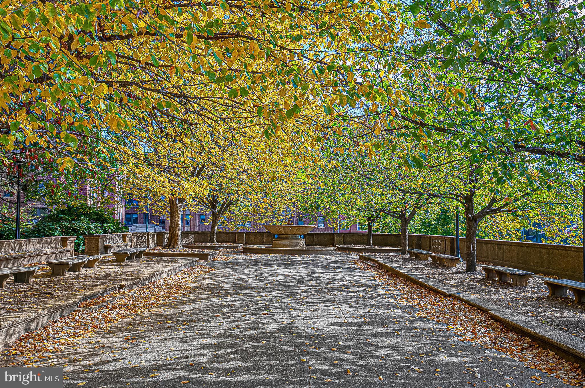 1660 Kalorama Road Northwest Washington, DC 20009 - Photo 26 of 37