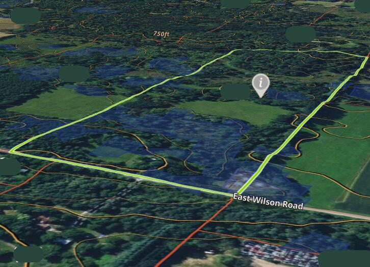 2665 East Wilson Road Custer, MI 49405 - Photo 19 of 19 Topography