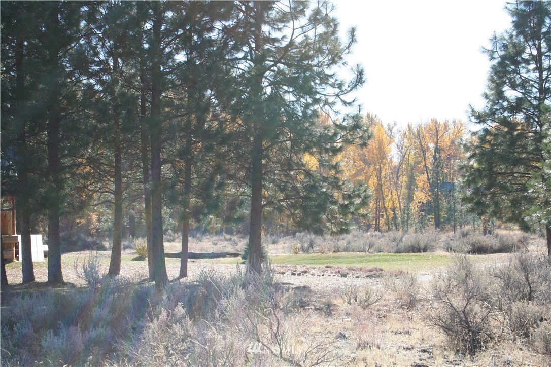 46 Beaver Pond Road Twisp, WA 98856 - Photo 11 of 31 a view of a yard with trees