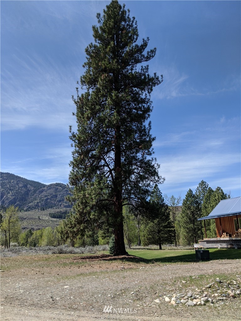 46 Beaver Pond Road Twisp, WA 98856 - Photo 27 of 31 an outdoor view of house with outdoor space