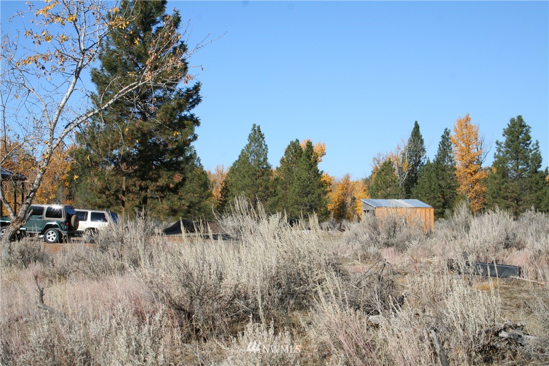 46 Beaver Pond Road Twisp, WA 98856 - Photo 5 of 31 a view of a dry yard with trees
