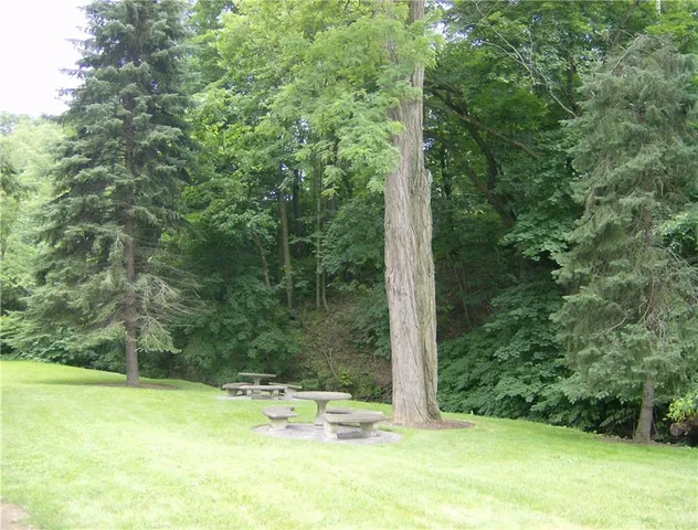 a view of a yard with a tree