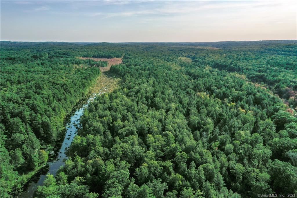 a view of a lush green space with sea